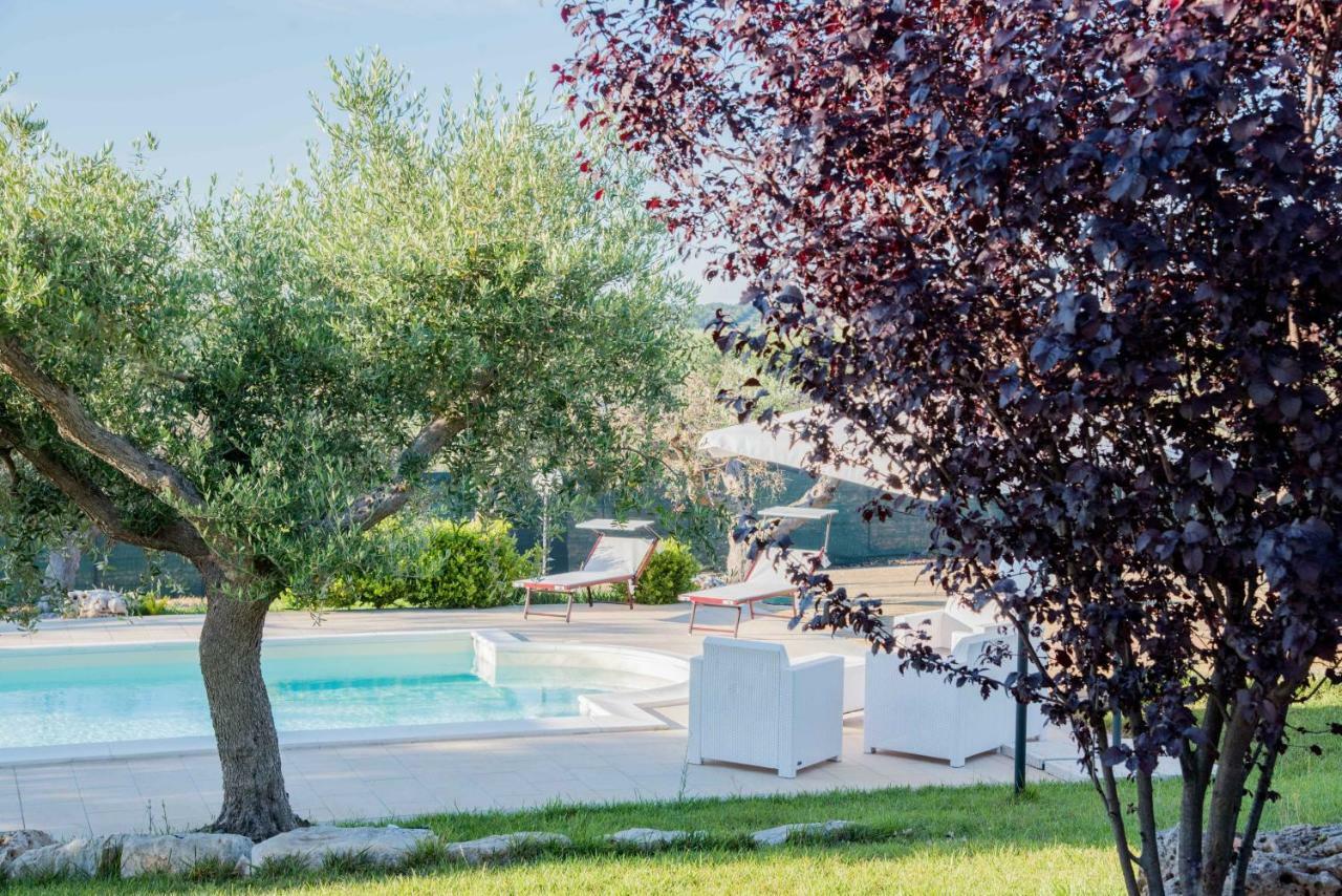 Trullo Malvischi Residence With Pool 阿尔贝罗贝洛 外观 照片
